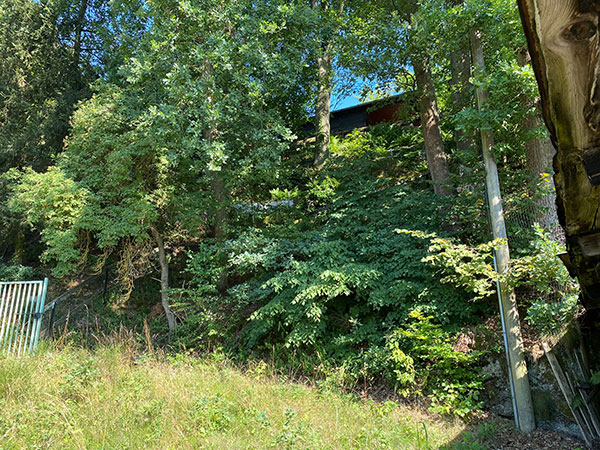 Baugrundstück Hochspeyer