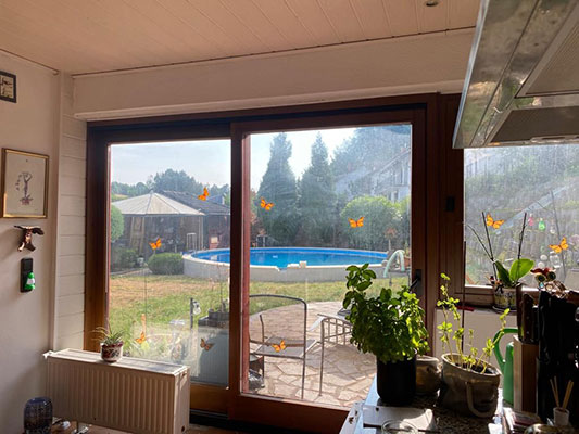 Zweifamilienhaus in Fischbach